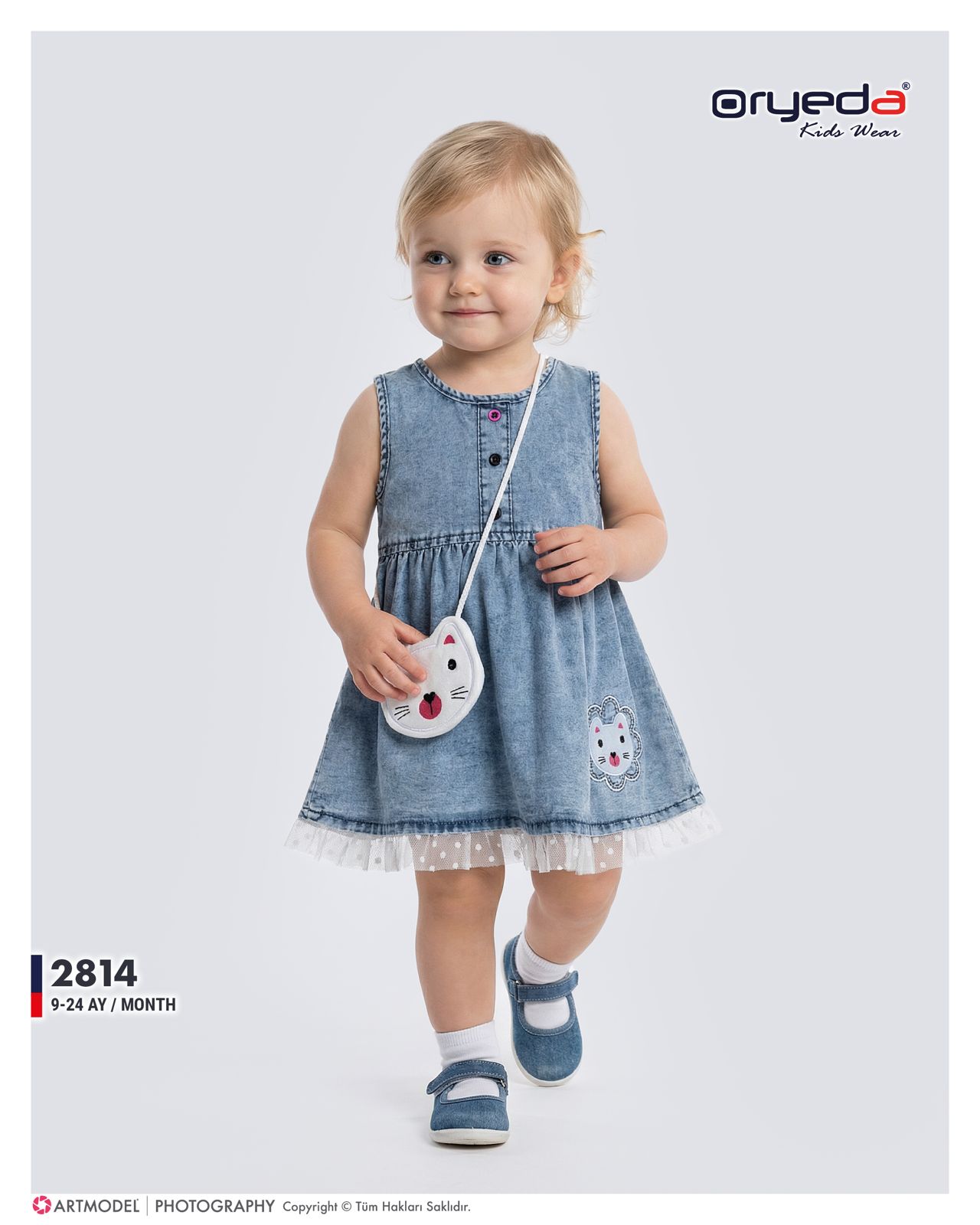 2814-KIZ ÇANTALI KEDİ NAKIŞLI ELBİSE 9-24 AY