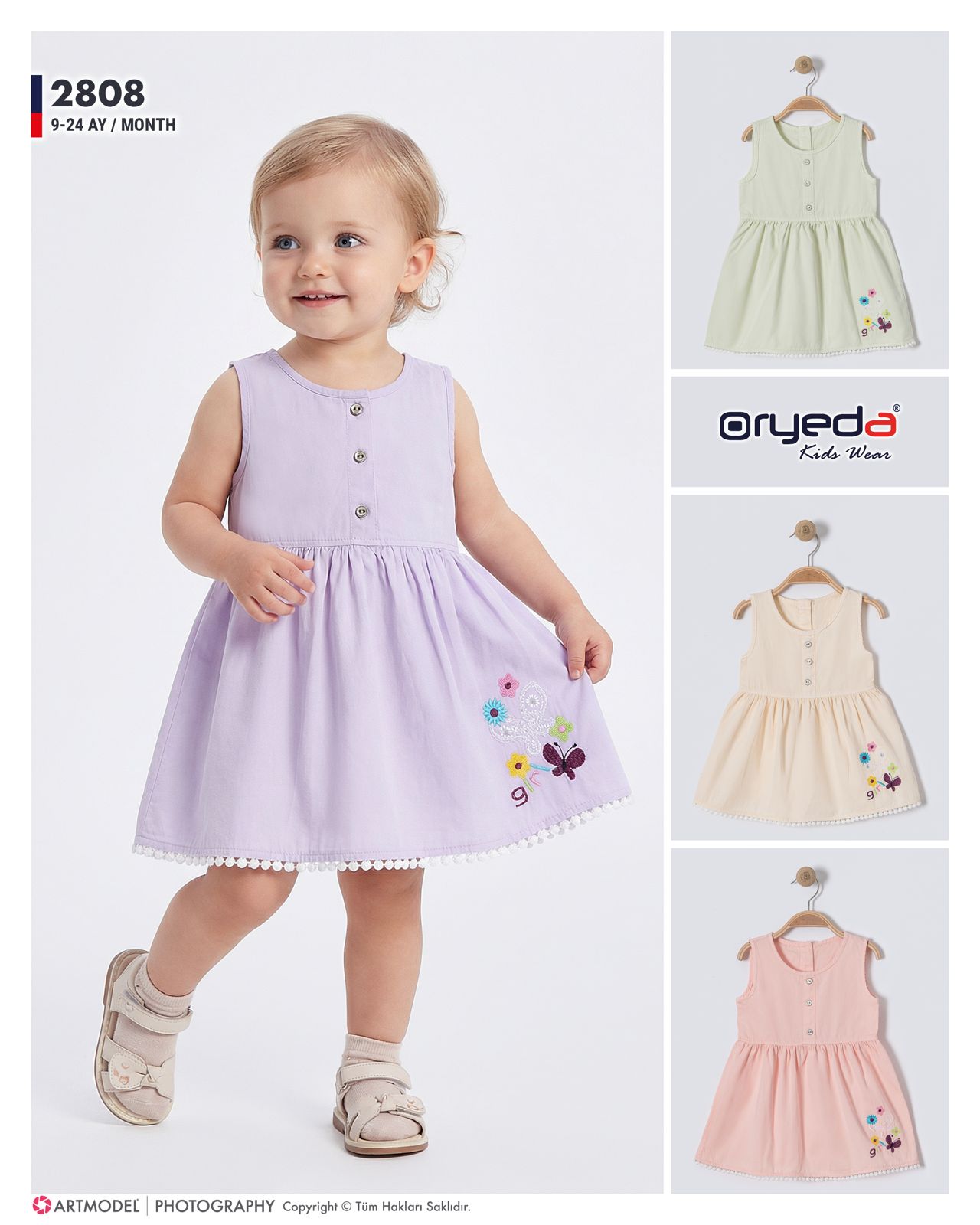 2808-KIZ KELEBEK NAKIŞLI RENKLİ ELBİSE 9-24 AY